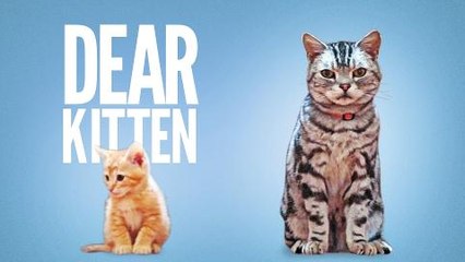 Buzzfeed's Ze Frank: Why Do We Share?