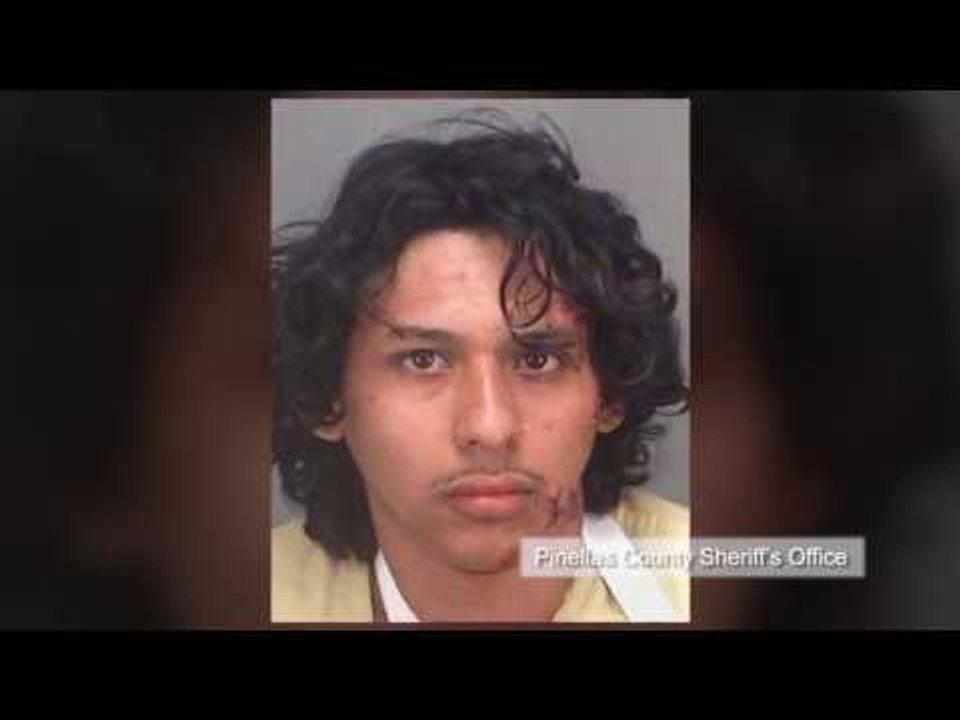 Alligator helps Florida cops nab runaway