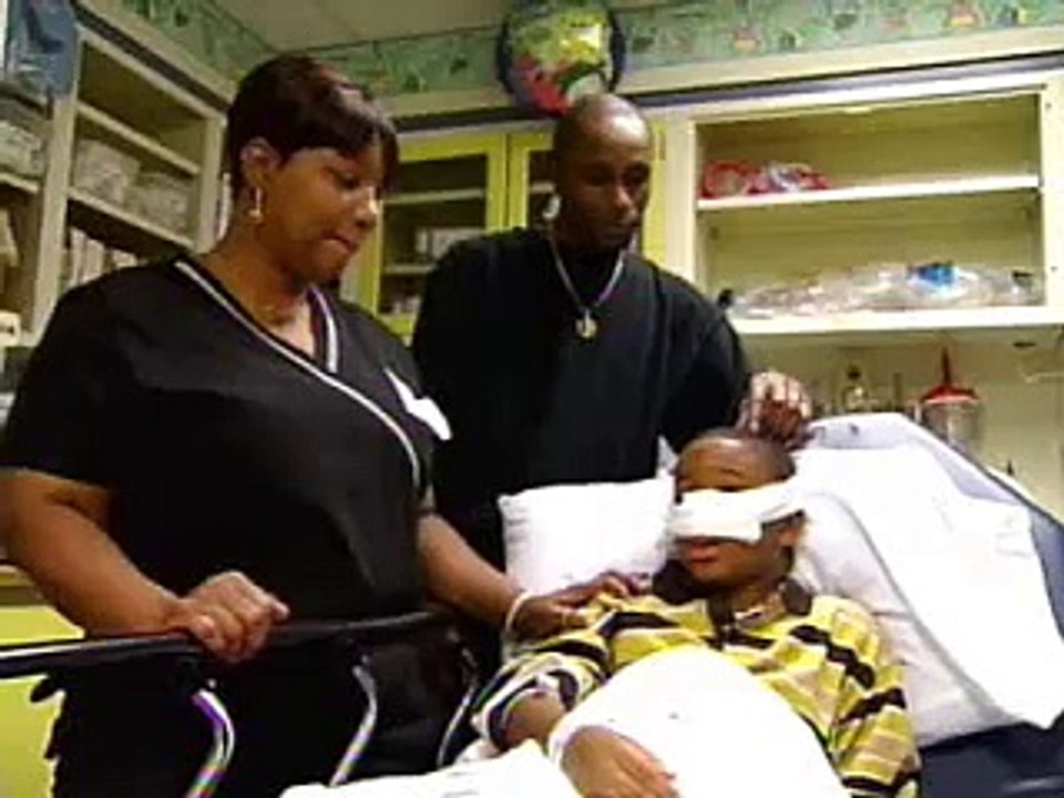 Dog Bites 11-Year-Old Boy In Face