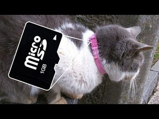 怪人二十面相ハッカー　、警察を手玉に取る