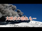 アルゼンチン火山が噴煙 チリでも警戒