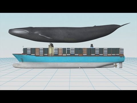 World's largest ship Maersk's Triple E container to set sail this year