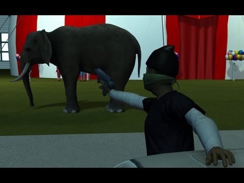 Elephant attacked during drive by shooting