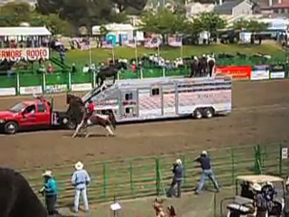 Amazing Horses Livermore Rodeo 2007