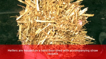 Scotland finishing experience