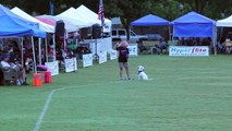 SPIRIT - Skyhoundz Microdog World Championships 2014 (5th place)
