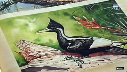 Masterminds E058 The Transylvania Job