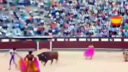 Boğanın intikamı yine korkunç oldu