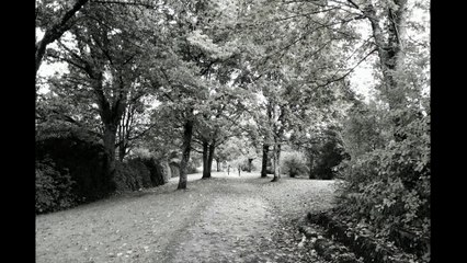 Eddie - Tears to cry ft. Dcagg