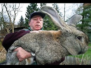 World's 10 Biggest Animals of All Time