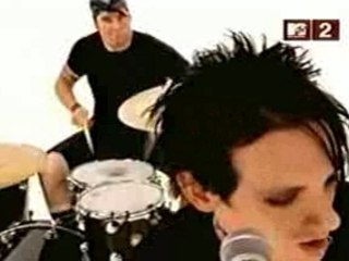 The Distillers- The Young Crazed Peeling