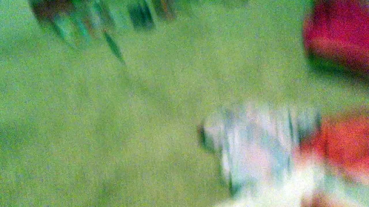 Shopkins! (Long video!)