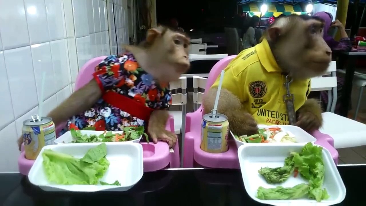 Maymun yemek