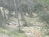 petite piste enduro facile