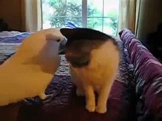 넘버원스피드당일일수Mm oio 6469 8957