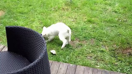 나에게딱맞는최고조건 재직자일수Mm oio 6469 8957