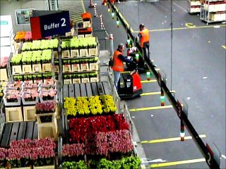 Voyage en Hollande organisé par Floriscola (Grenoble) avril 2015