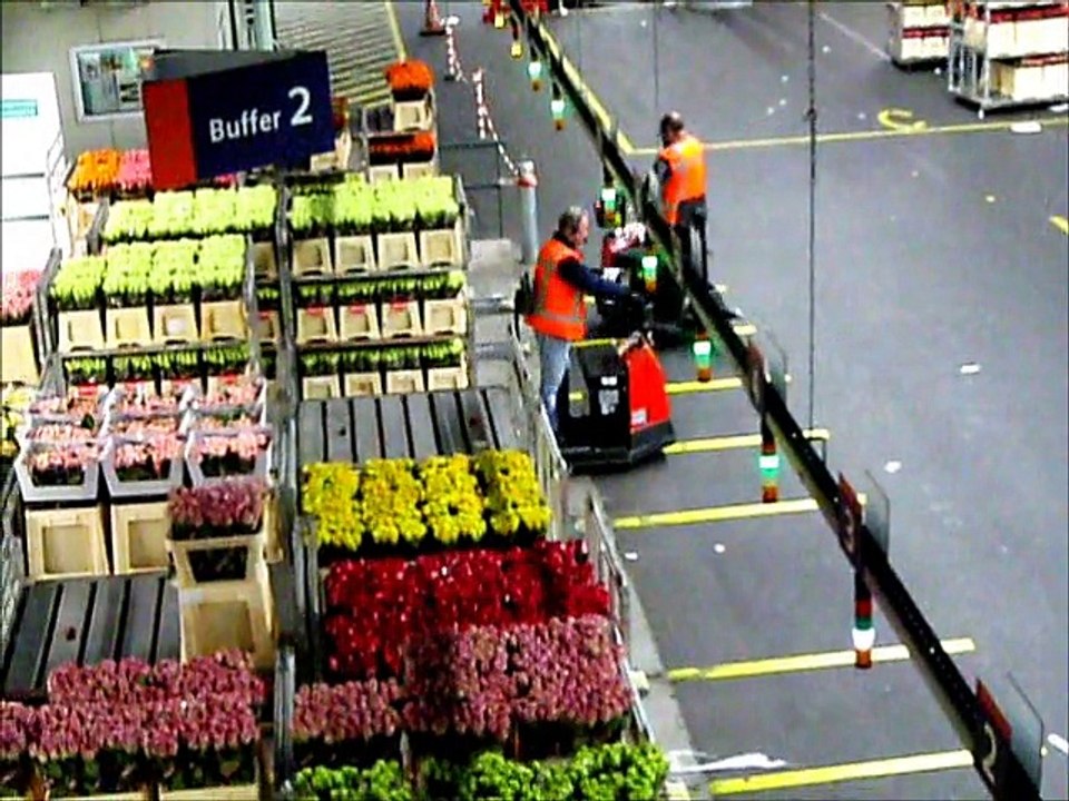 Voyage en Hollande organisé par Floriscola (Grenoble) avril 2015