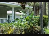 Fruit Tree Landscaping - Plant Tropical Banana Trees for Fall Bananas