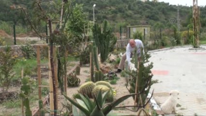 İş Adamının "Dikenli" Hobisi