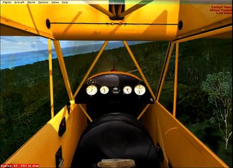 Crazy Bush Flying & Perfect STOL Landing (FSX)