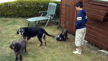 Belle Dune  Berck sur Mer du 23 au 26 avril 2015