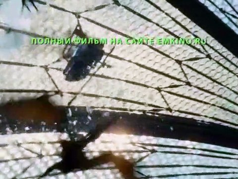 Мир Юрского Периода 2015 Полный Фильм Смотреть Онлайн в Хорошем Качестве