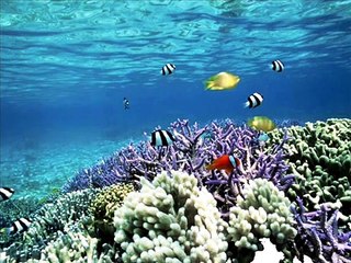 La Tristeza y La Furia - Cuento de Jorge Bucay