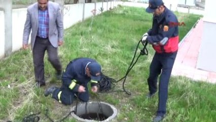 Bitlis Rögara Düşen Köpeği İtfaiyeciler Kurtardı