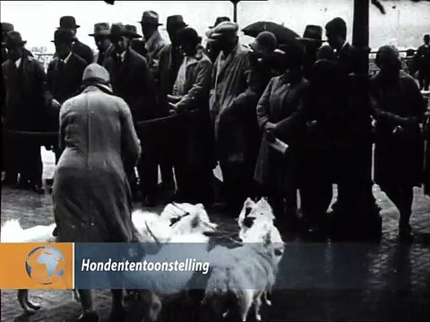 Hondententoonstelling - 1930