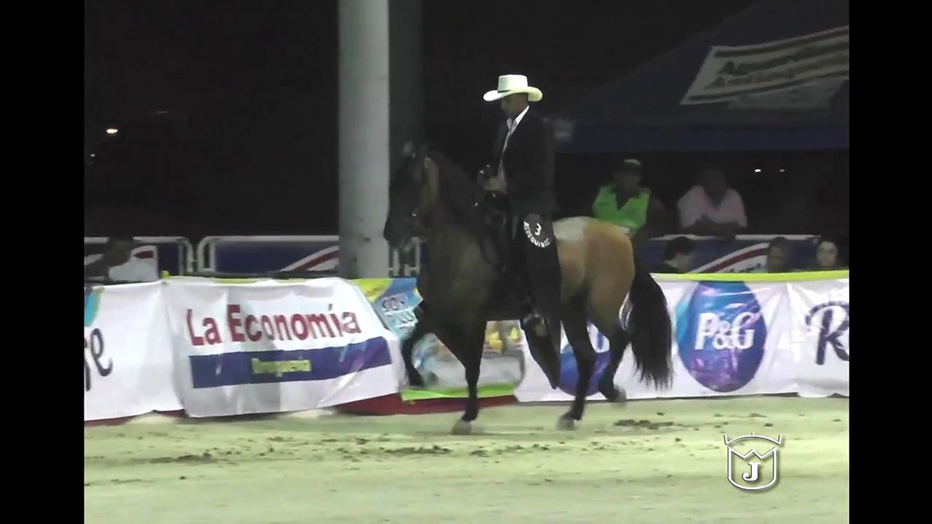 ⁣Reggeton de Lago Claro, GRAN CAMPEON RESERVADO Trocha colombiana  Barranquilla Grado B 2014