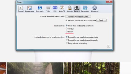 How to enable cookies in Safari