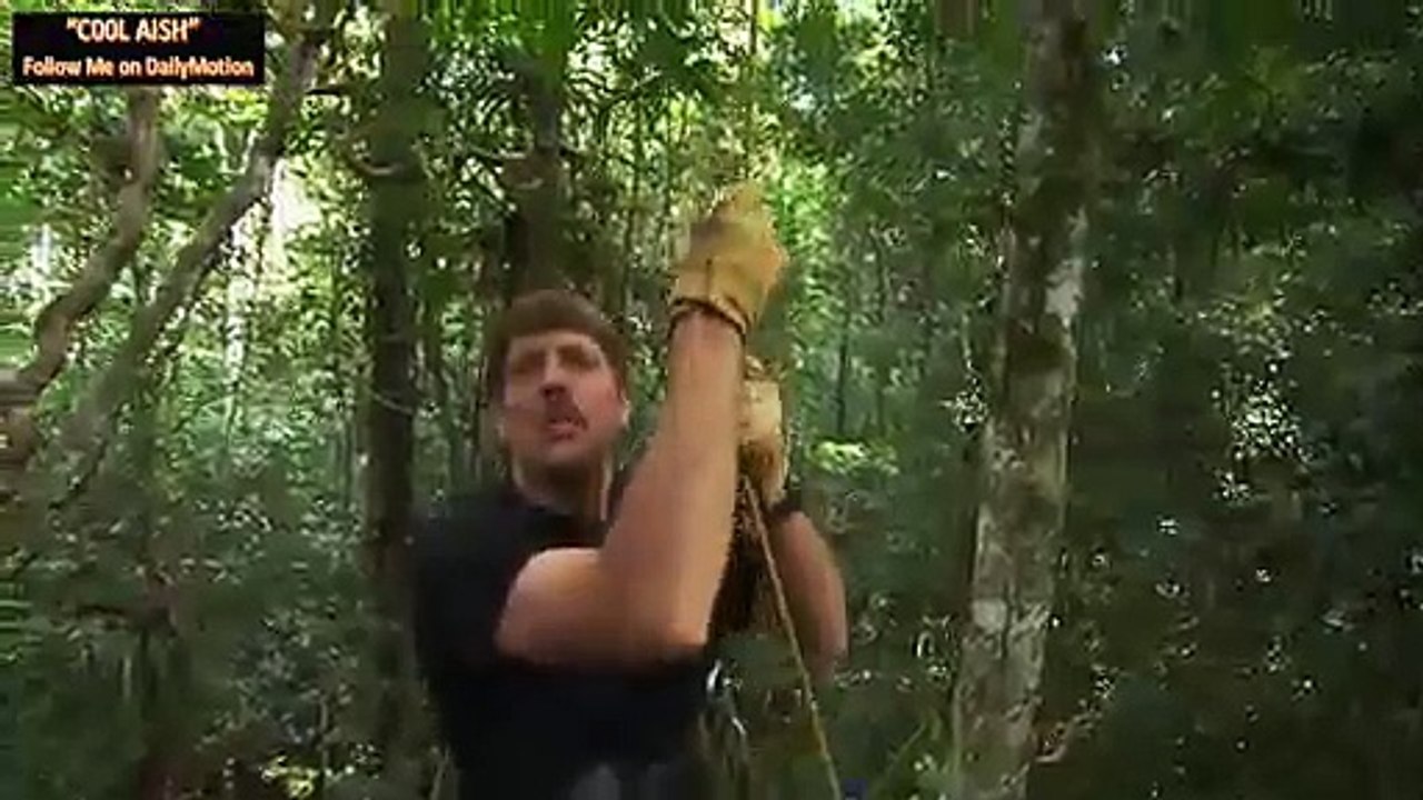 Have you ever seen birds like these ??