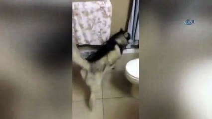 ’Lütfen! Banyo yapmak istemiyorum’