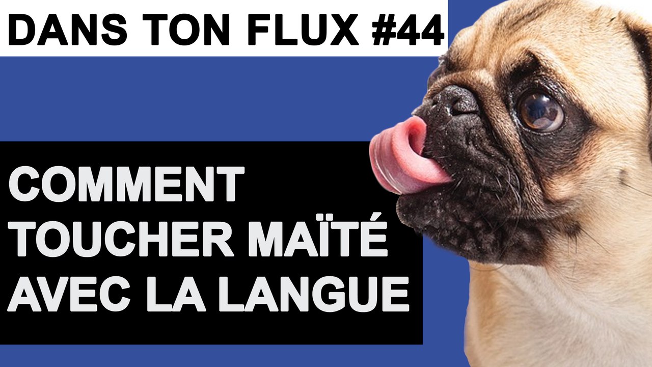 Comment toucher Maïté avec la langue #DansTonFlux44