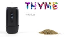 You Can Vape What!? - Vaping with Thyme