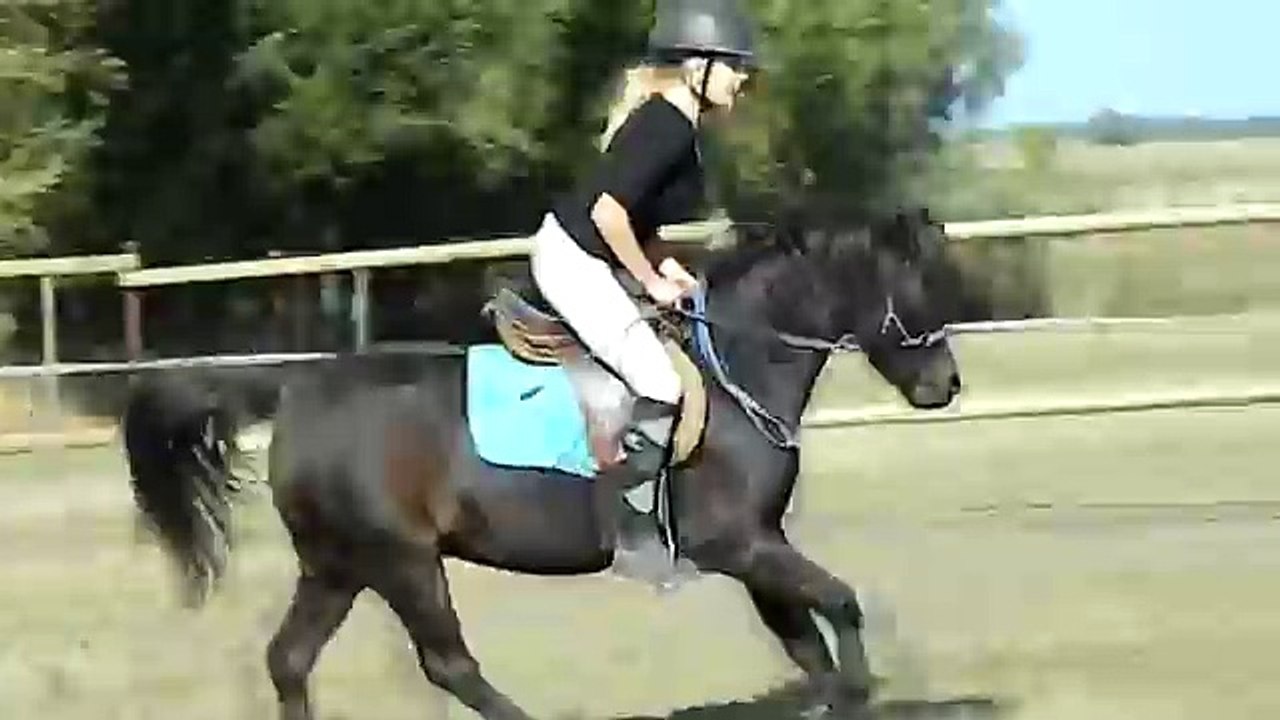 funny fall from horse [+300sub!]