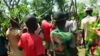 Hundreds of enslaved children released