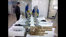 Sea food weight sorter machine Zhuhai DaHang automation