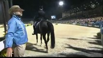 Totilas & Edward Gal WEG Grand Prix Freestyle