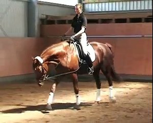 Dream of Donata Dressur reiten Mai 2007 VERKAUFT