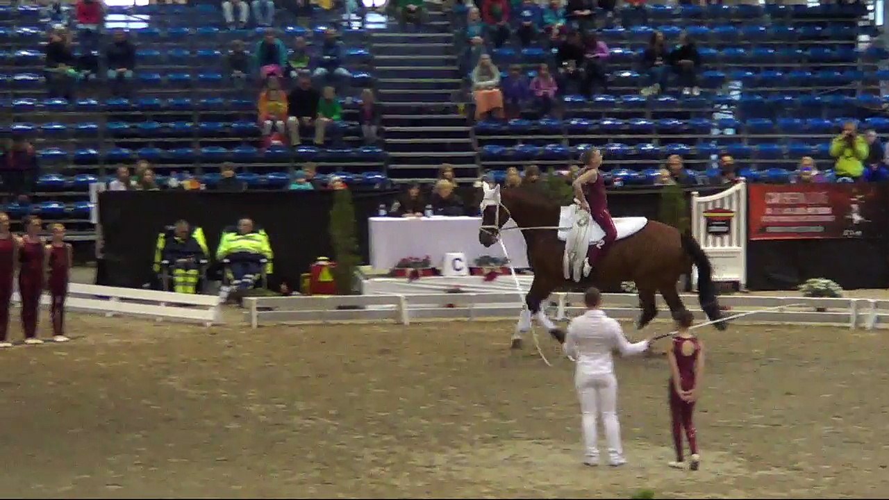 CVI Bern 2015 (REPLAY) - Friday 16:15 - 17:10 - Compulsory CVIJ2* Individual