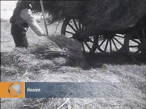 Hooien - 1931