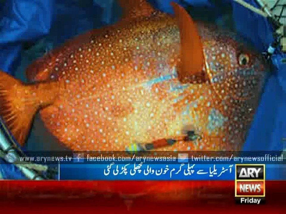 Round up of interesting and entertaining world news