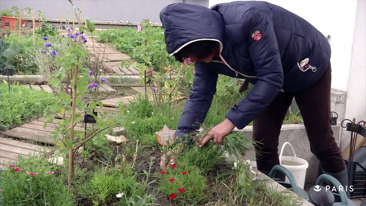 Le jardin partagé sur le toit, rue Louise Weiss