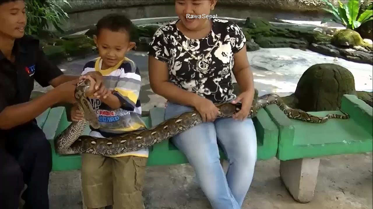 Small children like Snake