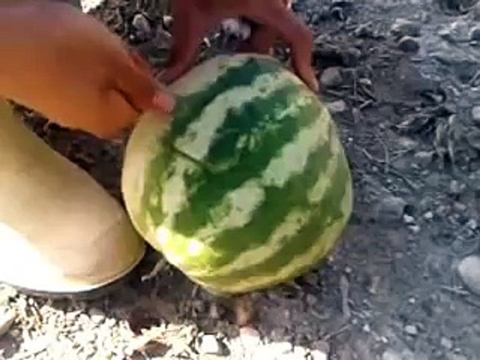 Torpille patlatılan Karpuz ne hale geliyor