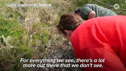 Plastic Is Our Ocean's Biggest Predator