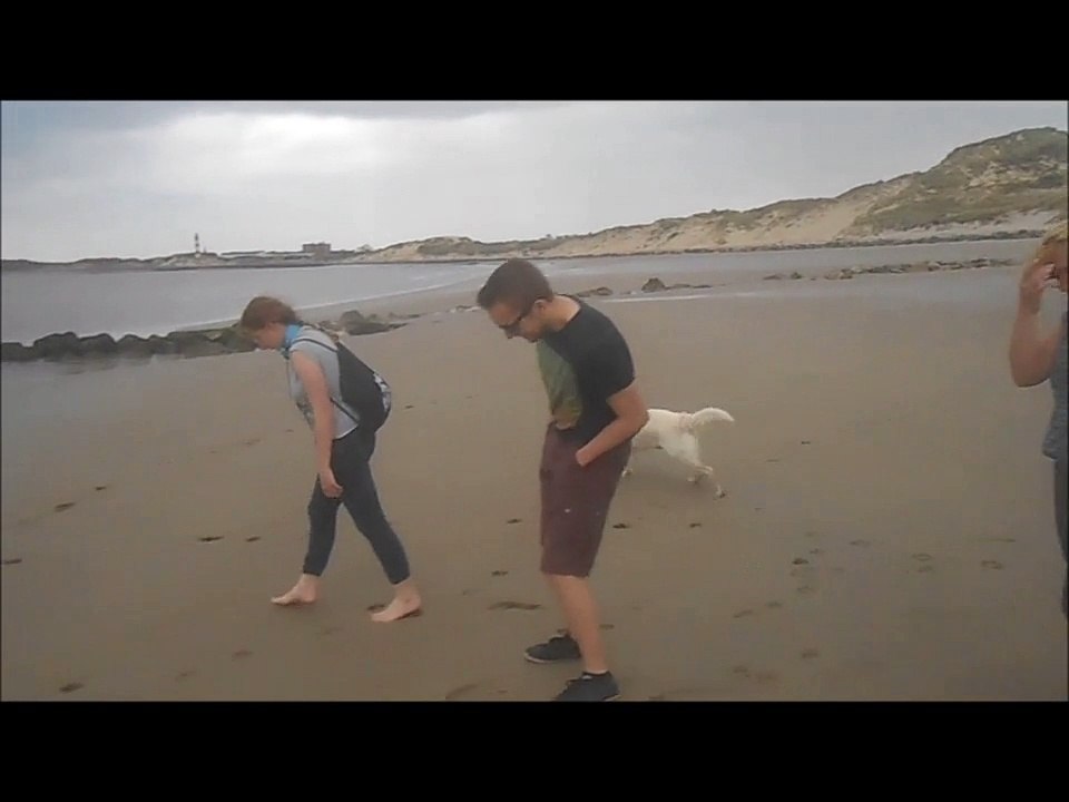 Berck 2015 video