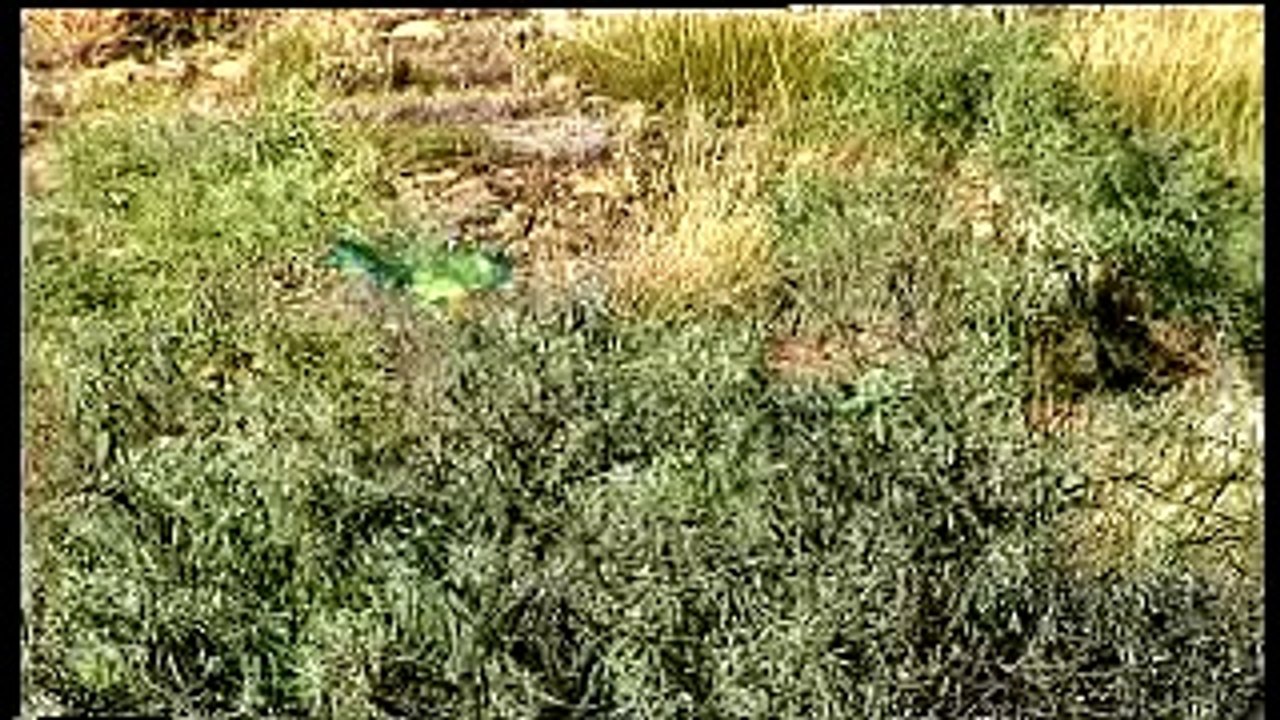 Lonely Planet: Travel Guide to Kakadu National Park, Australia